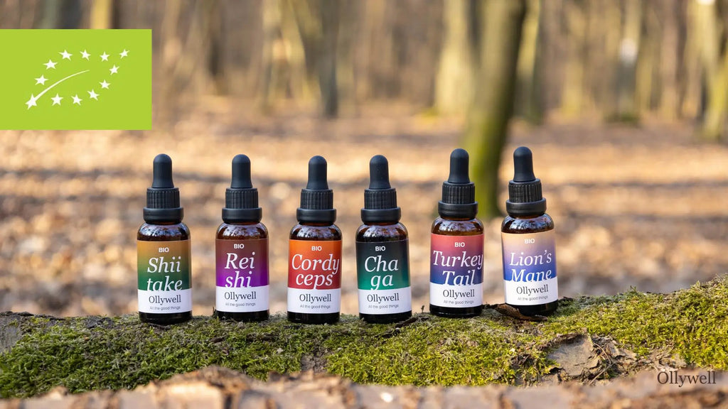 BIO to nie moda. Ekstrakty z adaptogenów z certyfikacją EU Organic