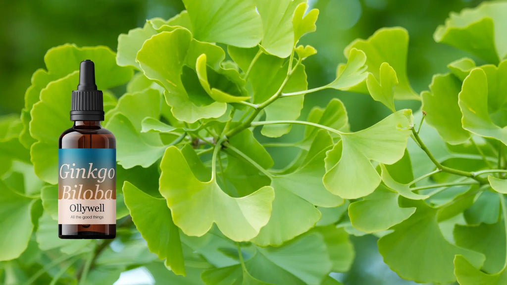 Na co pomaga Ginkgo Biloba? Naturalne wsparcie pamięci i koncentracji