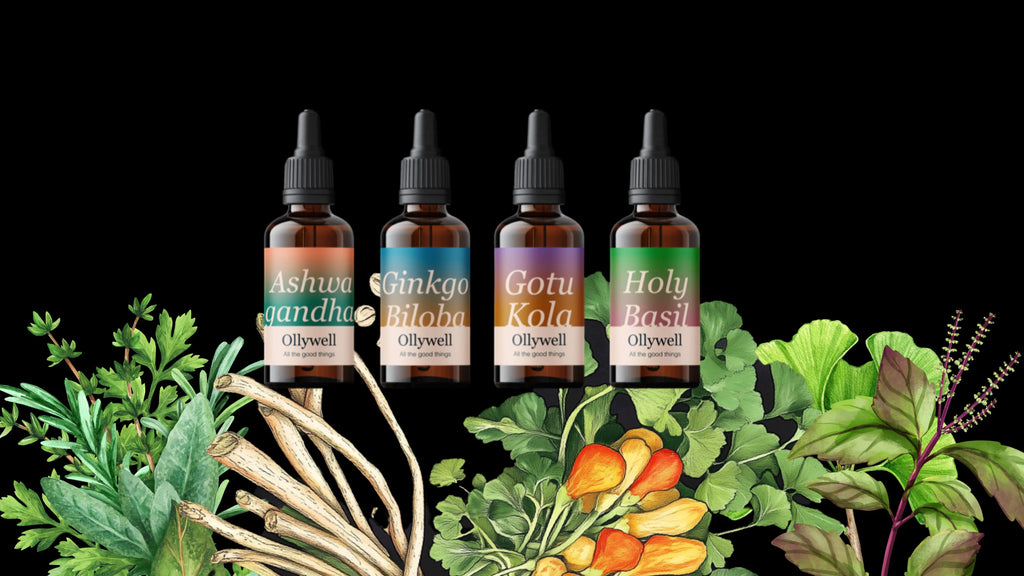 What plants are considered adaptogens? The most effective adaptogenic herbs