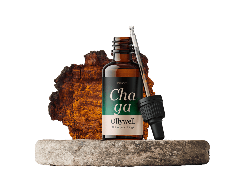 Chaga - Ollywell Polska