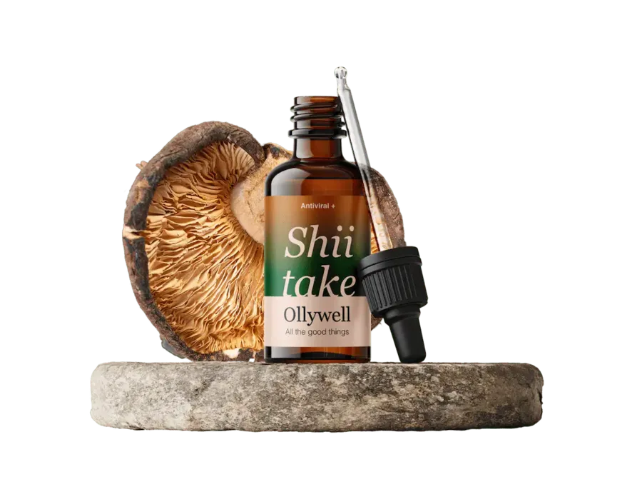 BIO Shiitake
